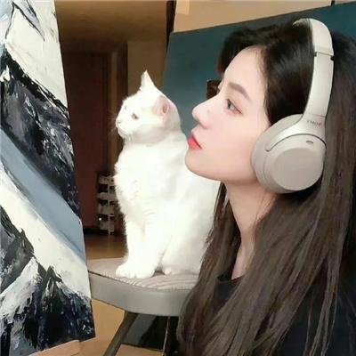 在首领猎人的土地上